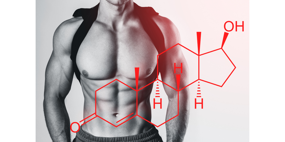 Qué es la recomposición corporal y cómo conseguirla: Guía completa