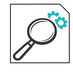 Revisión y Mantenimiento